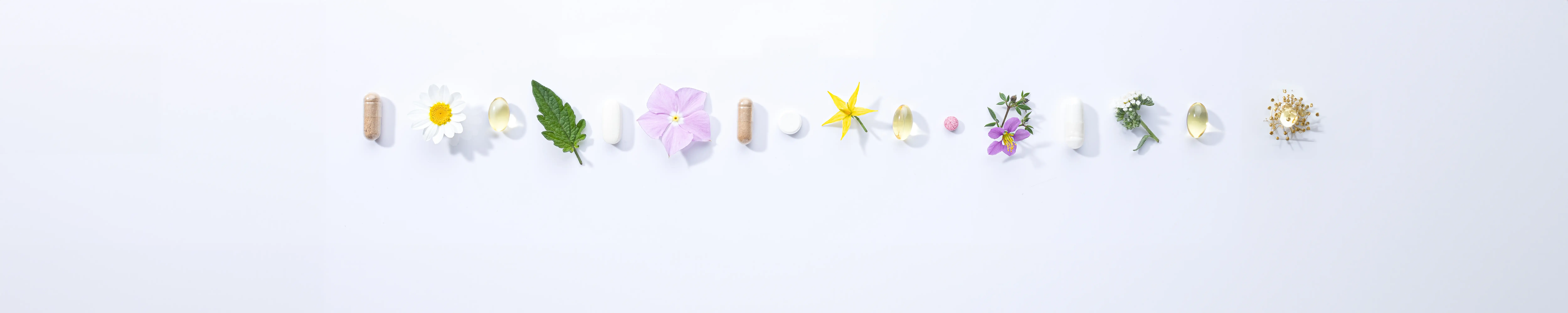 Maxodo supplements Banner B